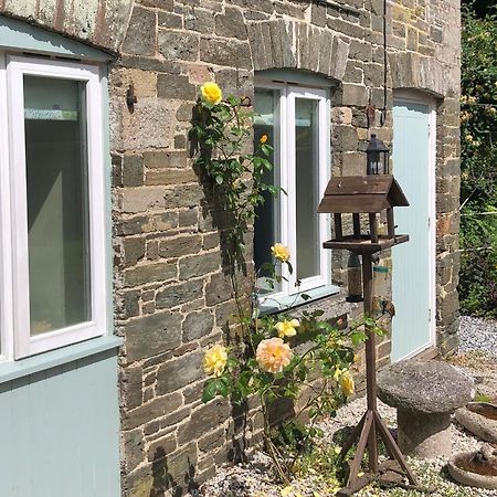 1 Bed-Pet Friendly-Parking-Patio-Close To Coasts North Hill Esterno foto